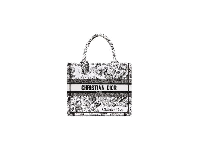 Dior Dior Small Dior Book Tote In White And Black Plan De Paris Embroidery - view 1
