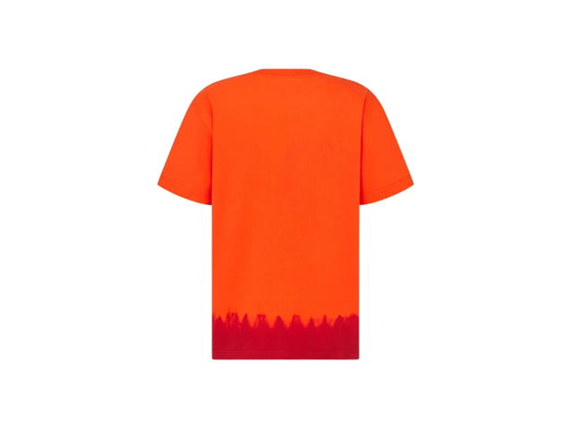 Dior Dior x KAWS T-Shirt Relaxed Fit Orange And Red Cotton Jersey - view 2