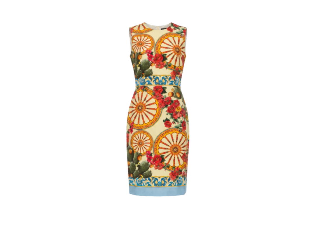 Dolce & Gabbana Dolce & Gabbana Wheel and Prickly Pear Print  Multicolor