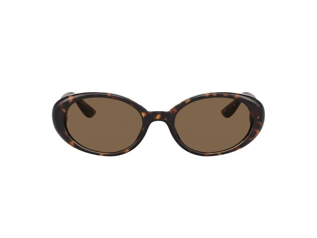 Dolce & Gabbana Dolce & Gabbana Re-Edition Dnasunglasses Dark Brown Lenses Havana