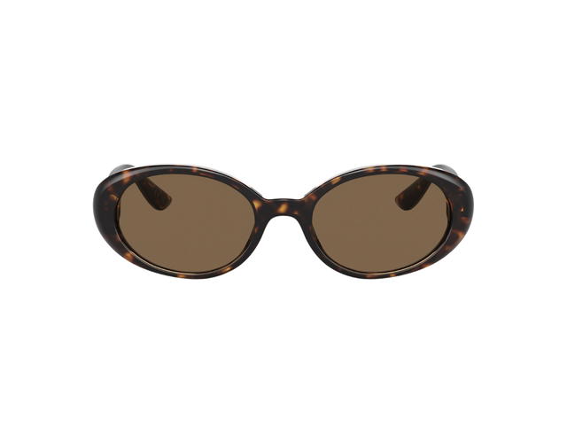 Dolce & Gabbana Dolce & Gabbana Re-Edition Dnasunglasses Dark Brown Lenses Havana - view 1