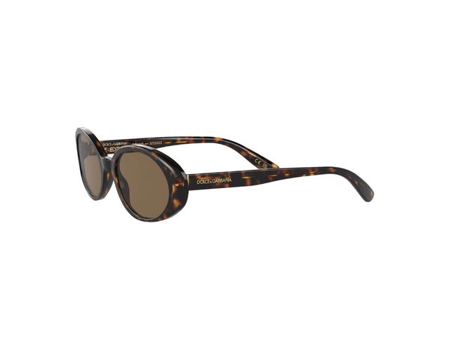 Dolce & Gabbana Dolce & Gabbana Re-Edition Dnasunglasses Dark Brown Lenses Havana - view 2