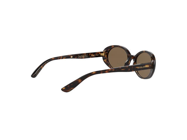 Dolce & Gabbana Dolce & Gabbana Re-Edition Dnasunglasses Dark Brown Lenses Havana - view 3
