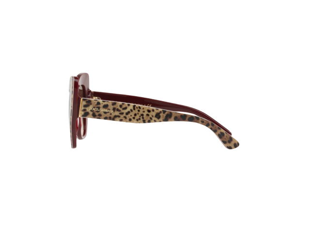 Dolce & Gabbana Dolce & Gabbana Sunglasses In Leo Plastic Frame With Brown Lenses - view 3