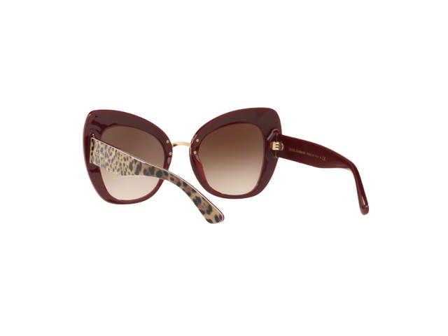 Dolce & Gabbana Dolce & Gabbana Sunglasses In Leo Plastic Frame With Brown Lenses - view 4