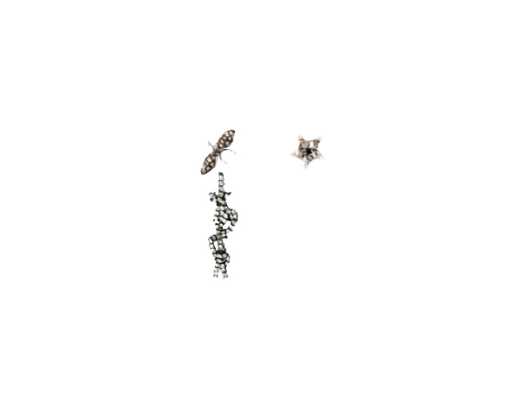 Dior Dior J'Adore Earrings White