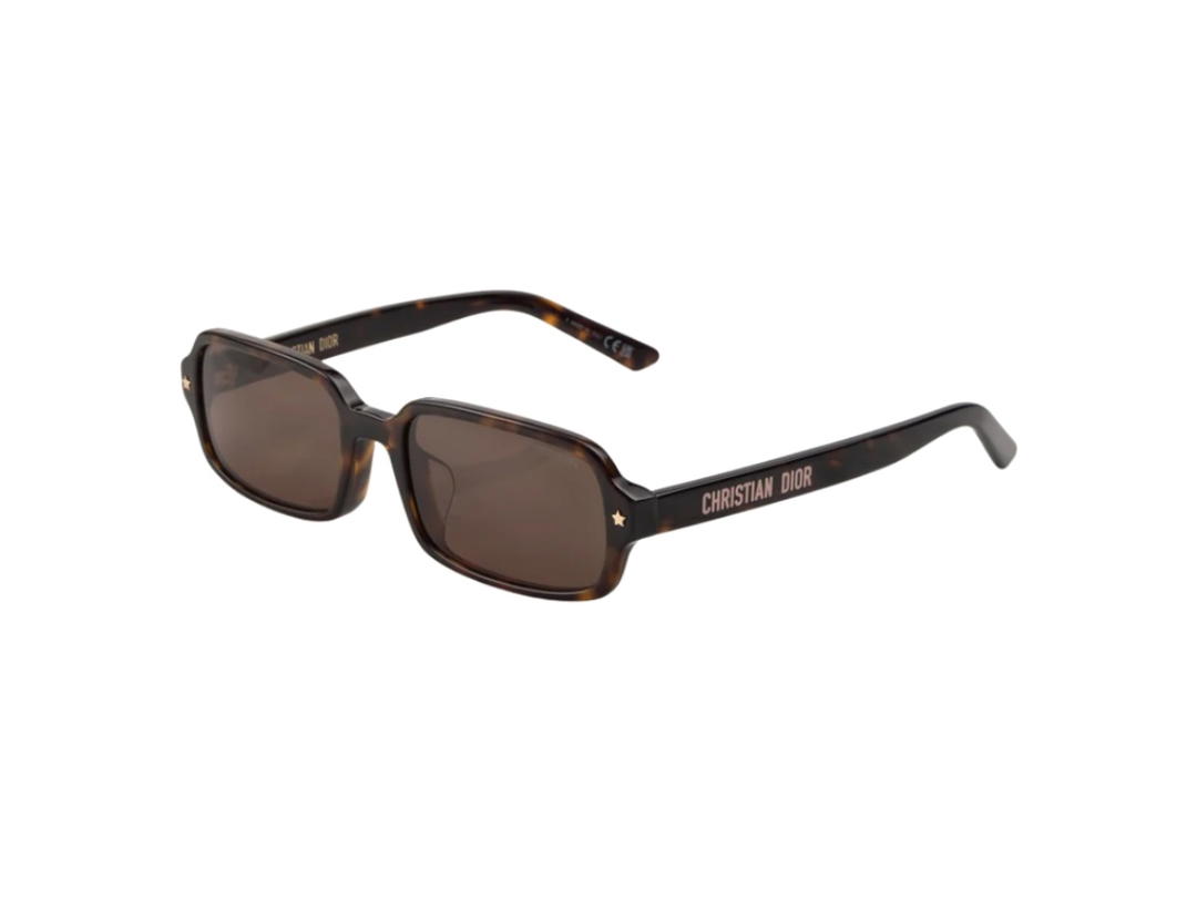 Dior Dior Pacific S3F Sunglasses Brown