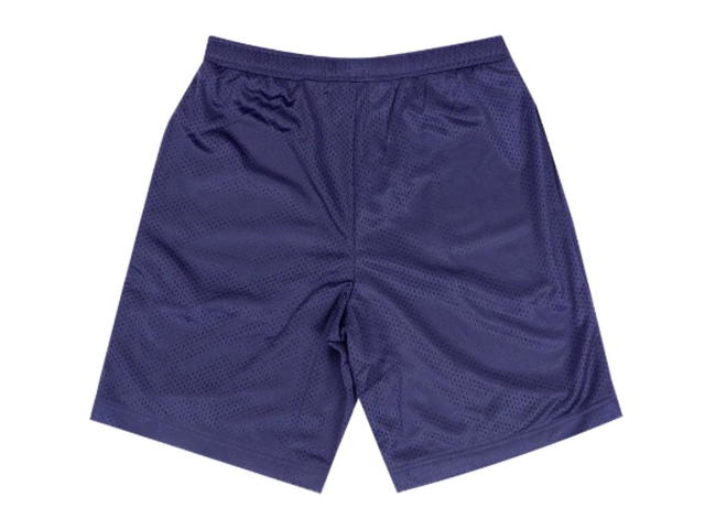 Drew House Drew House Homeschool Mesh Short Navy - view 2
