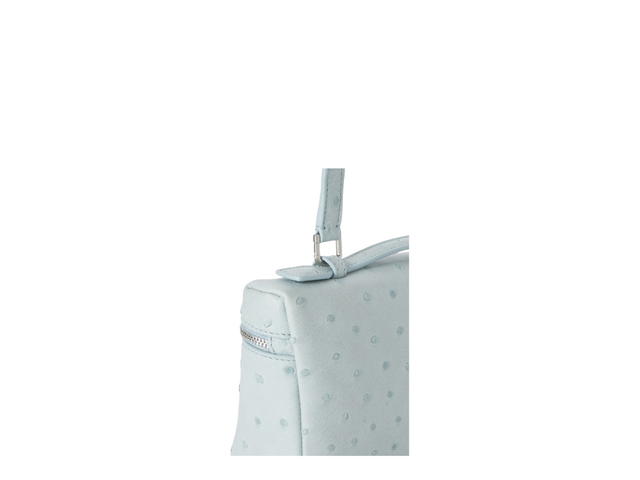 Loro Piana Loro Piana In Ostrich Leather With Antique Silver Metal Hardware Minty Breeze (W) - view 3