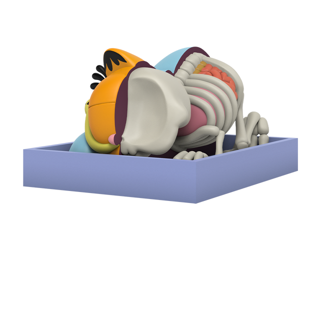 Mighty Jaxx Garfield ft. Jason Freeny Blind Box by Mighty Jaxx (1 PC) - view 8