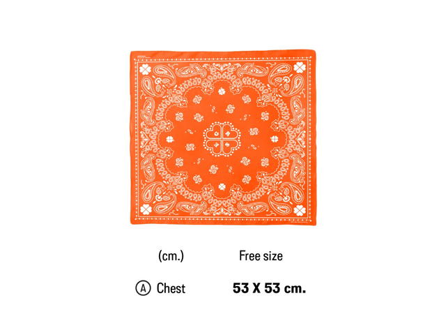 Getricheasy Getricheasy Bandana Paisley Gray - view 2
