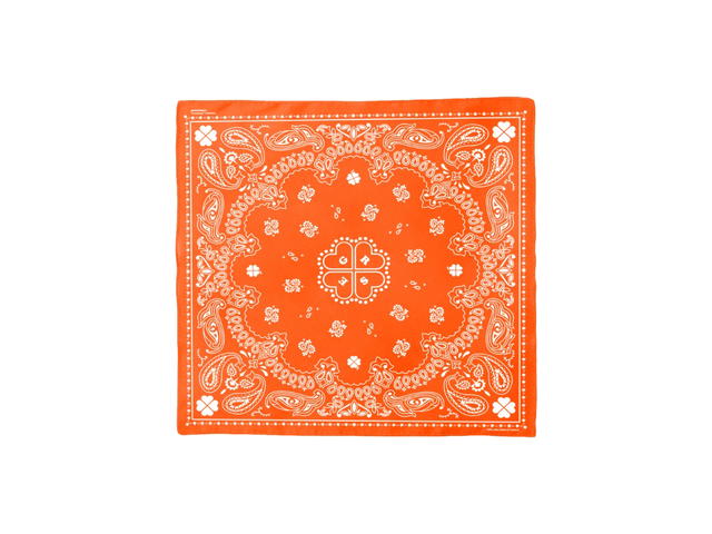 Getricheasy Getricheasy Bandana Paisley Orange - view 1