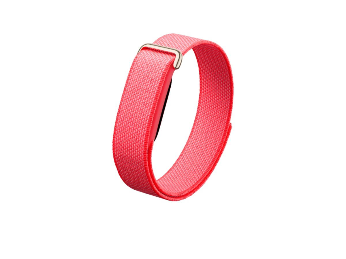 Google Google Fitbit Air Berry