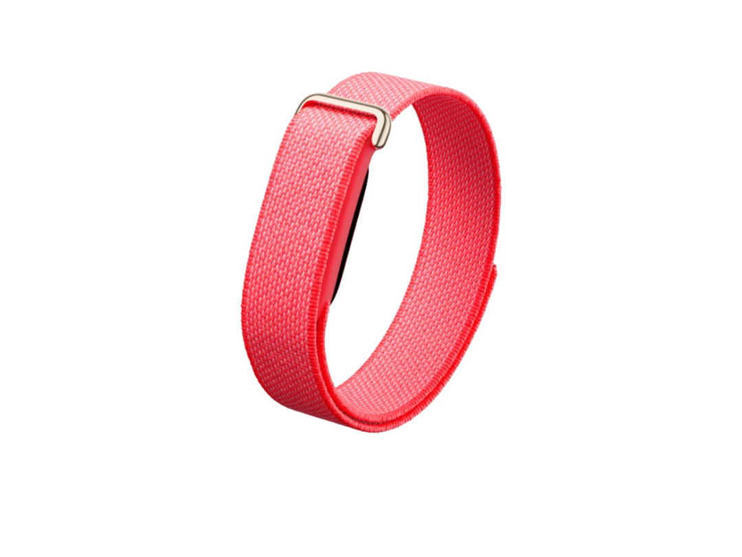Google Google Fitbit Air Berry (Membership)