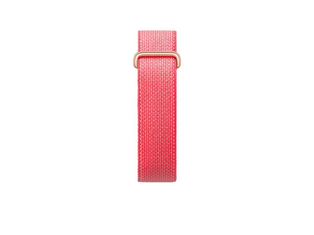 Google Google Fitbit Air Berry (Membership) - view 2