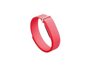 Buy Google Fitbit Air Special Edition Stephen Curry (Membership) at Sasom – Authentic and Ready to Ship