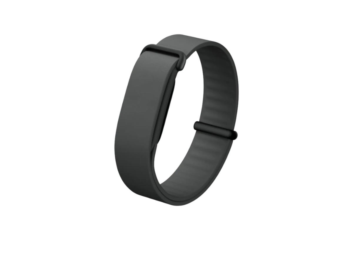 Google Google Fitbit Air Elevated Modern Band Obsidian (Bands only)