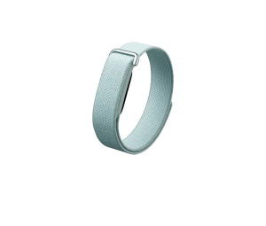 Buy Google Fitbit Air Fog (Membership) at Sasom – Authentic and Ready to Ship