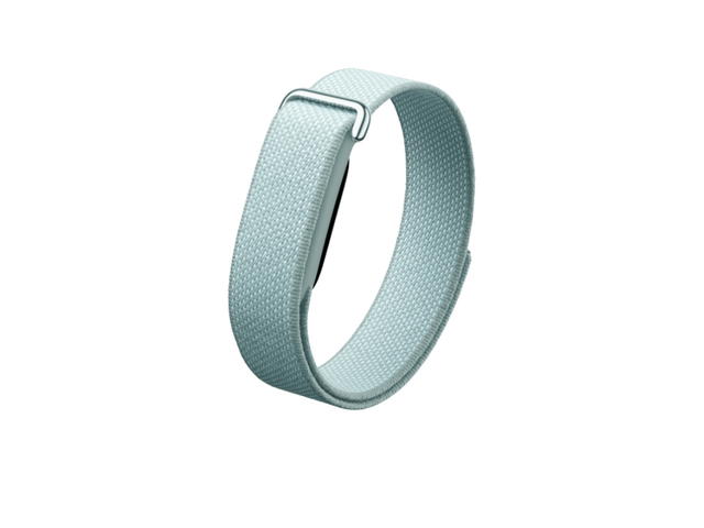 Google Google Fitbit Air Fog (Membership) - view 1
