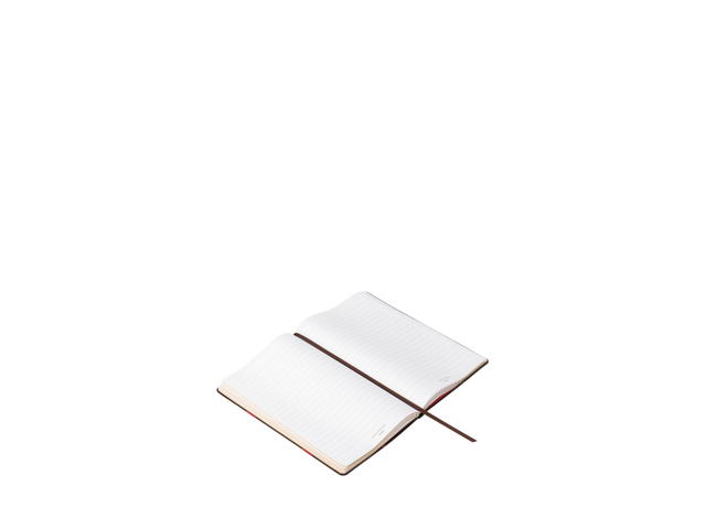 Louis Vuitton Louis Vuitton x Takashi Murakami Jane Notebook MM Cherry Print Brown - view 2