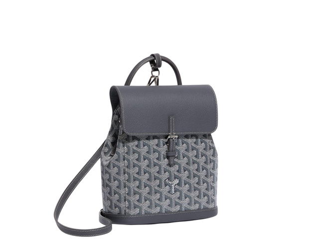 Goyard Goyard Alpin Mini Backpack - view 2
