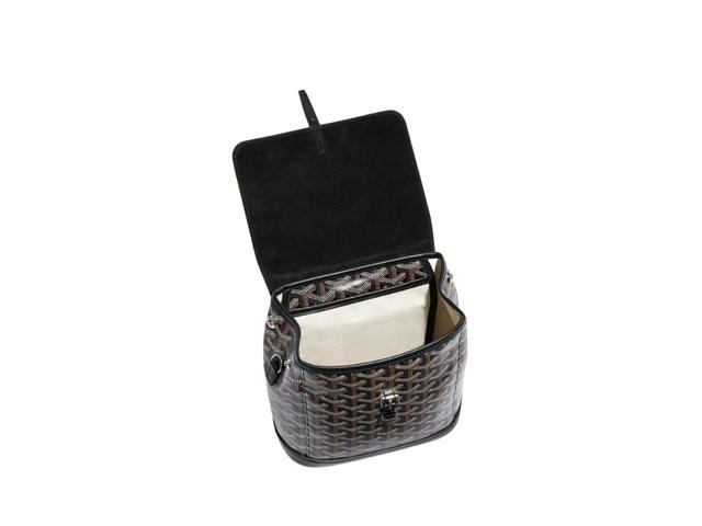 Goyard Goyard Alpin Mini Backpack - view 3