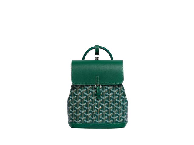 Goyard Goyard Alpin Mini Backpack Green - view 1