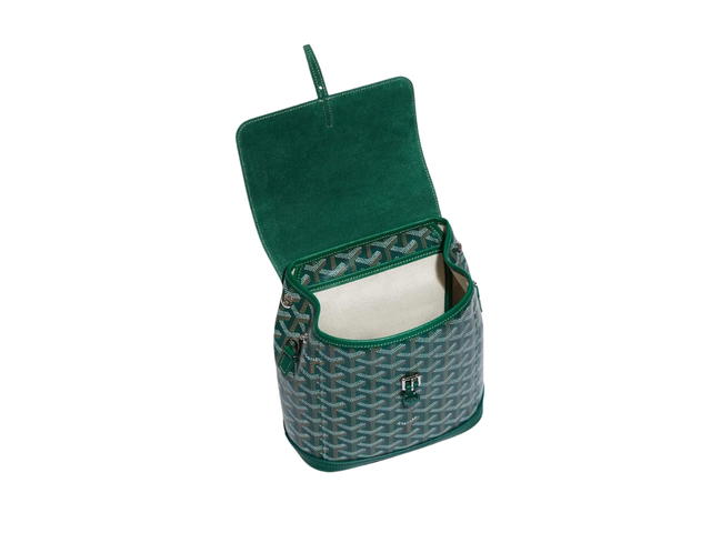 Goyard Goyard Alpin Mini Backpack Green - view 3