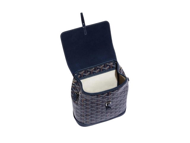 Goyard Goyard Alpin Mini Backpack - view 3