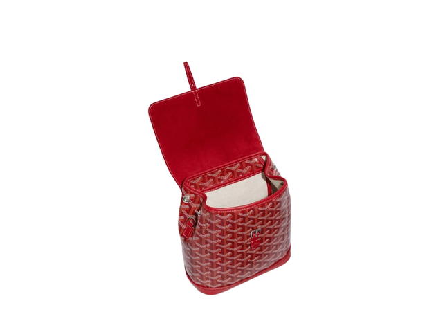 Goyard Goyard Alpin Mini Backpack Red - view 3