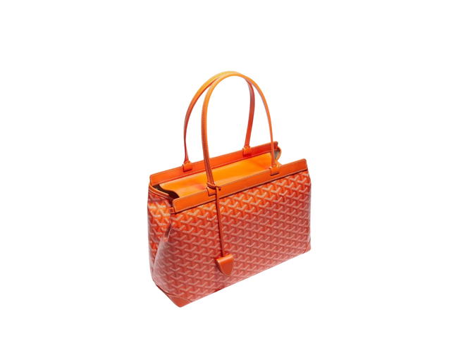 Goyard Goyard Bellechasse Biaude PM Bag Orange - view 3