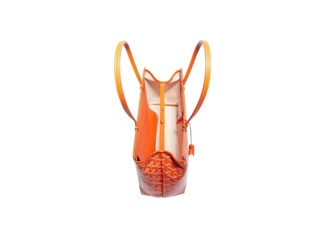 Goyard Goyard Bellechasse Biaude PM Bag Orange - view 4
