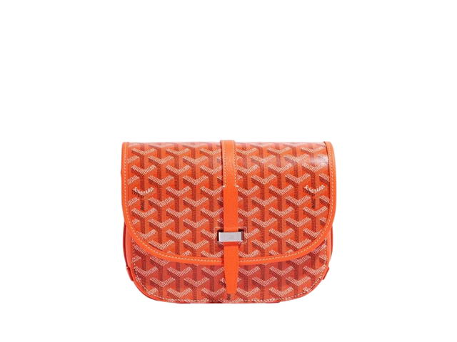 Goyard Goyard Belvedere PM Bag Orange - view 1