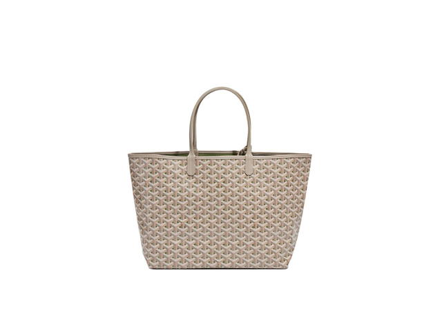 Goyard Goyard Saint Louis PM Bag Claire Voie Khaki - view 2