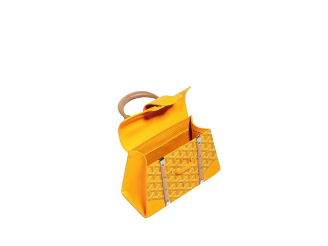Goyard Goyard Saïgon Mini Bag Structuré - view 3