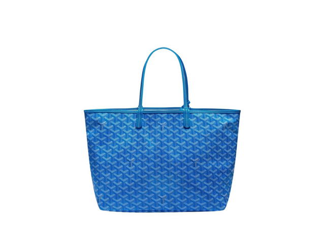 Goyard Goyard Saint Louis PM Bag - view 1