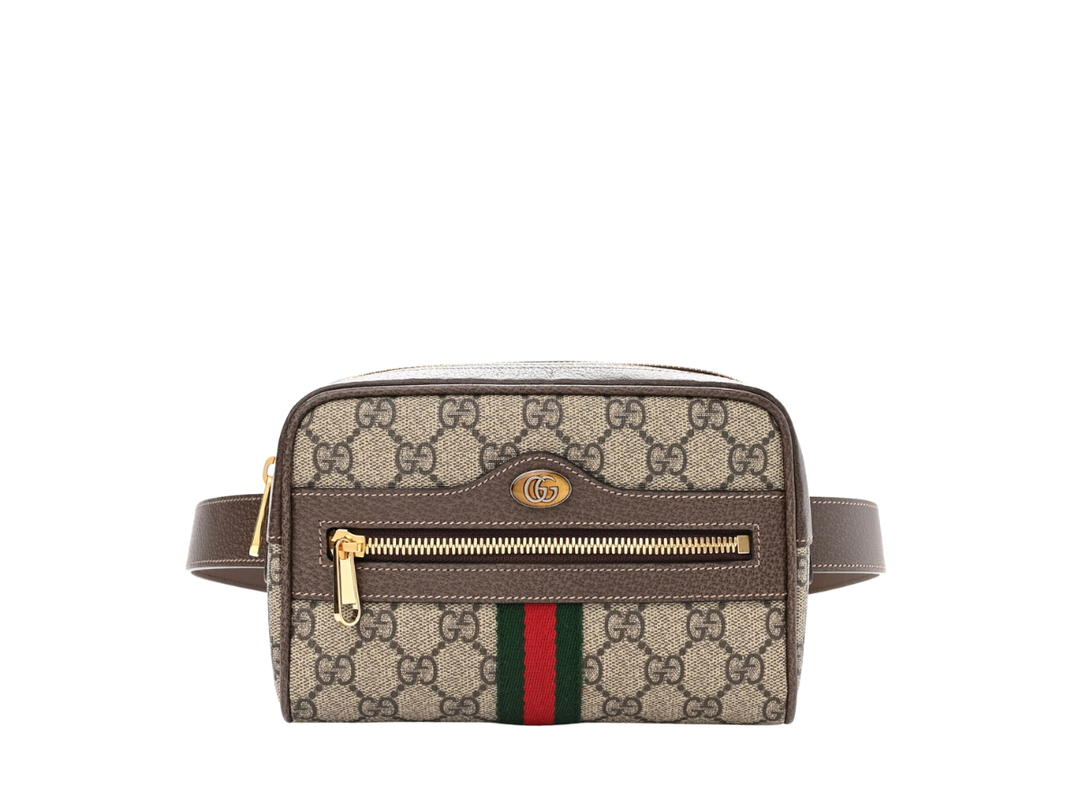 Gucci Gucci Ophidia Belt Bag