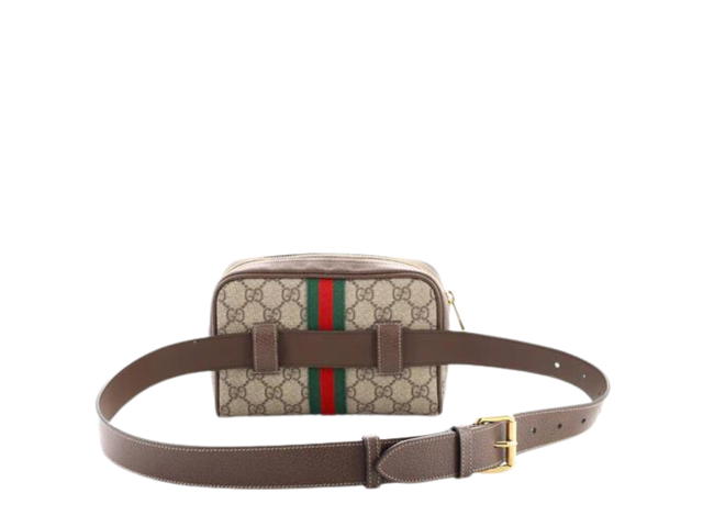 Gucci Gucci Ophidia Belt Bag - view 2