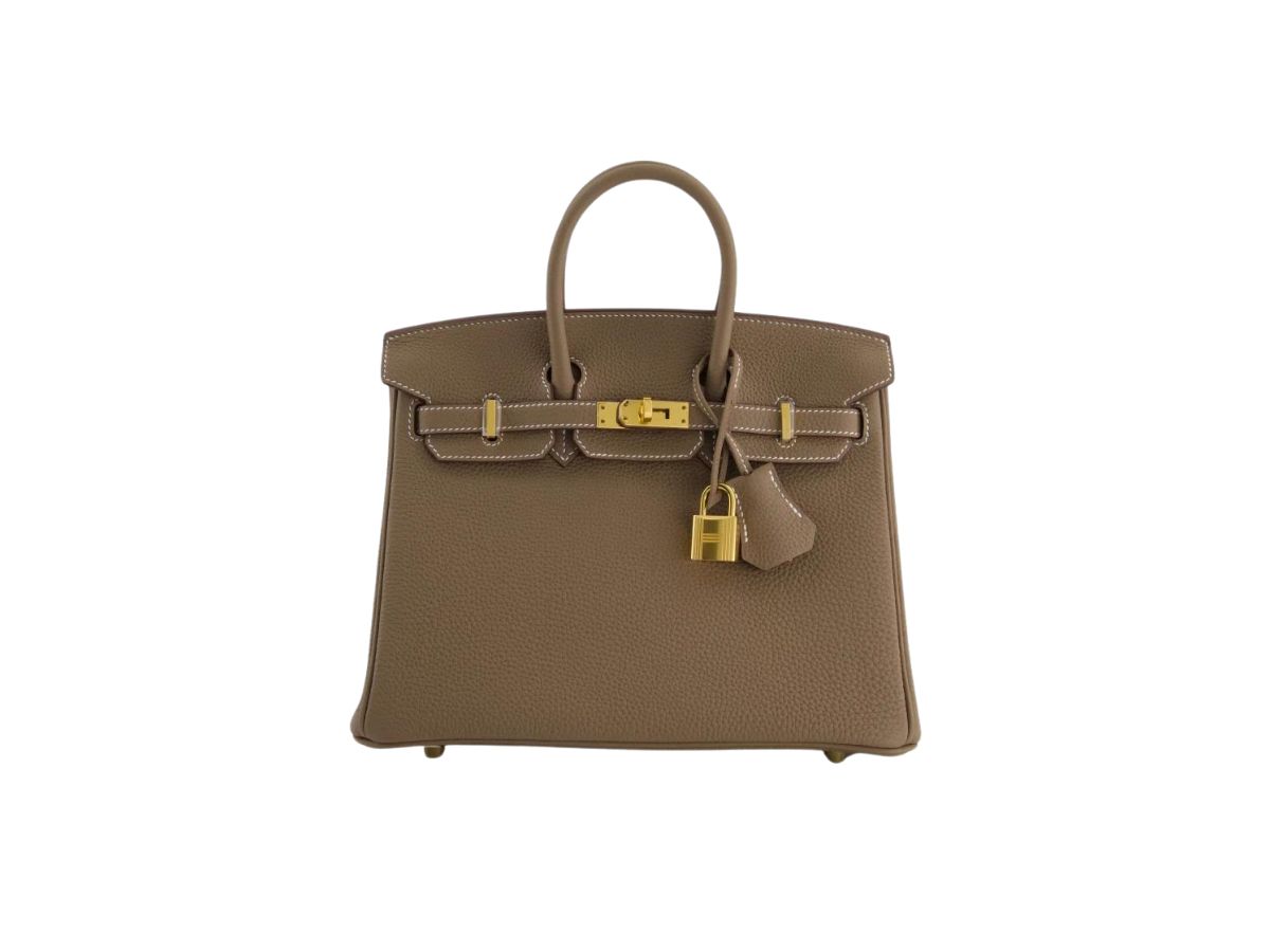 Hermes Hermes Birkin 25 Bag In Epsom Togo Leather With Gold-Plated Hardware Etoupe