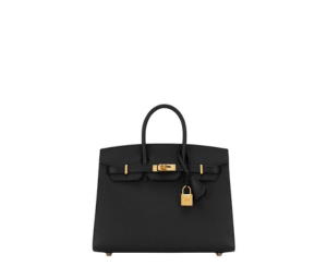 Hermes Birkin 25 Bag Selier In Epsom Calfskin With Gold Hardware Noir