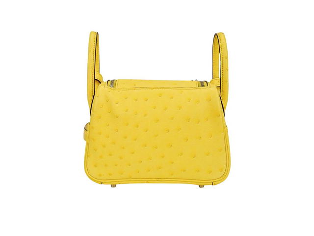 Hermes Hermes Lindy 20 Bag Jaune Citron Ostrich Boreal Palladium Hardware - view 2