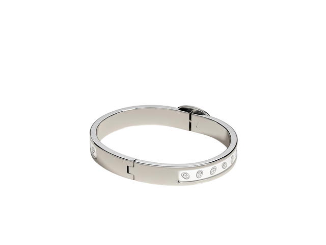Hermes Hermes Mini Clic Chaine d'Ancre Bracelet In Chaine d'Ancre Printed Enamel With Palladium-Plated Hardware Blanc Platine-Blanc - view 2