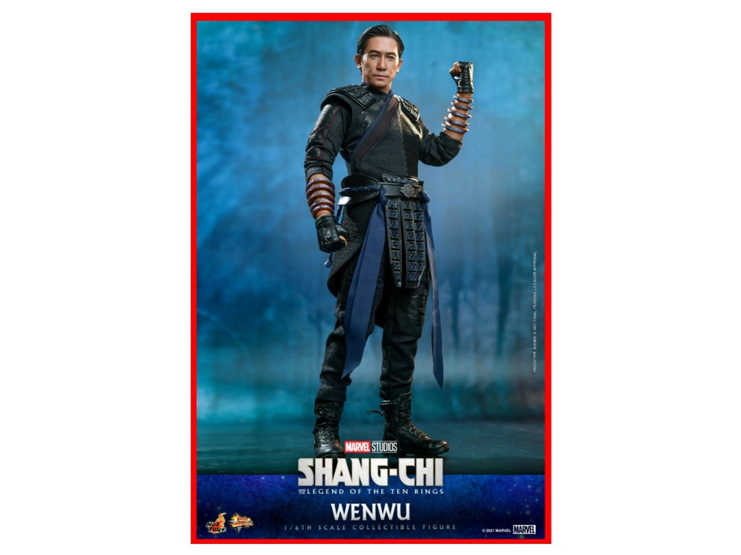 Hot Toys Hot Toys Wenwu