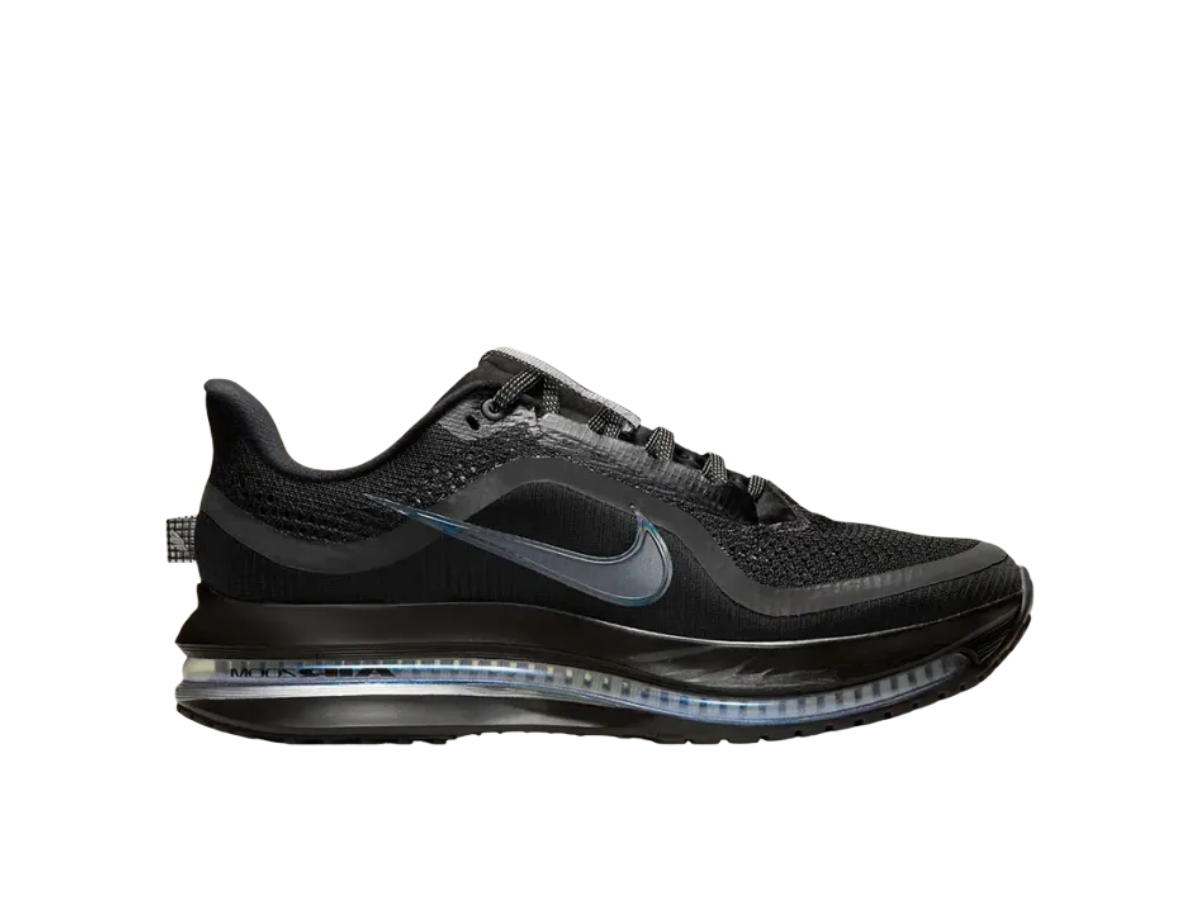 Nike Nike Pegasus PRM Black Metallic Silver (Women's)