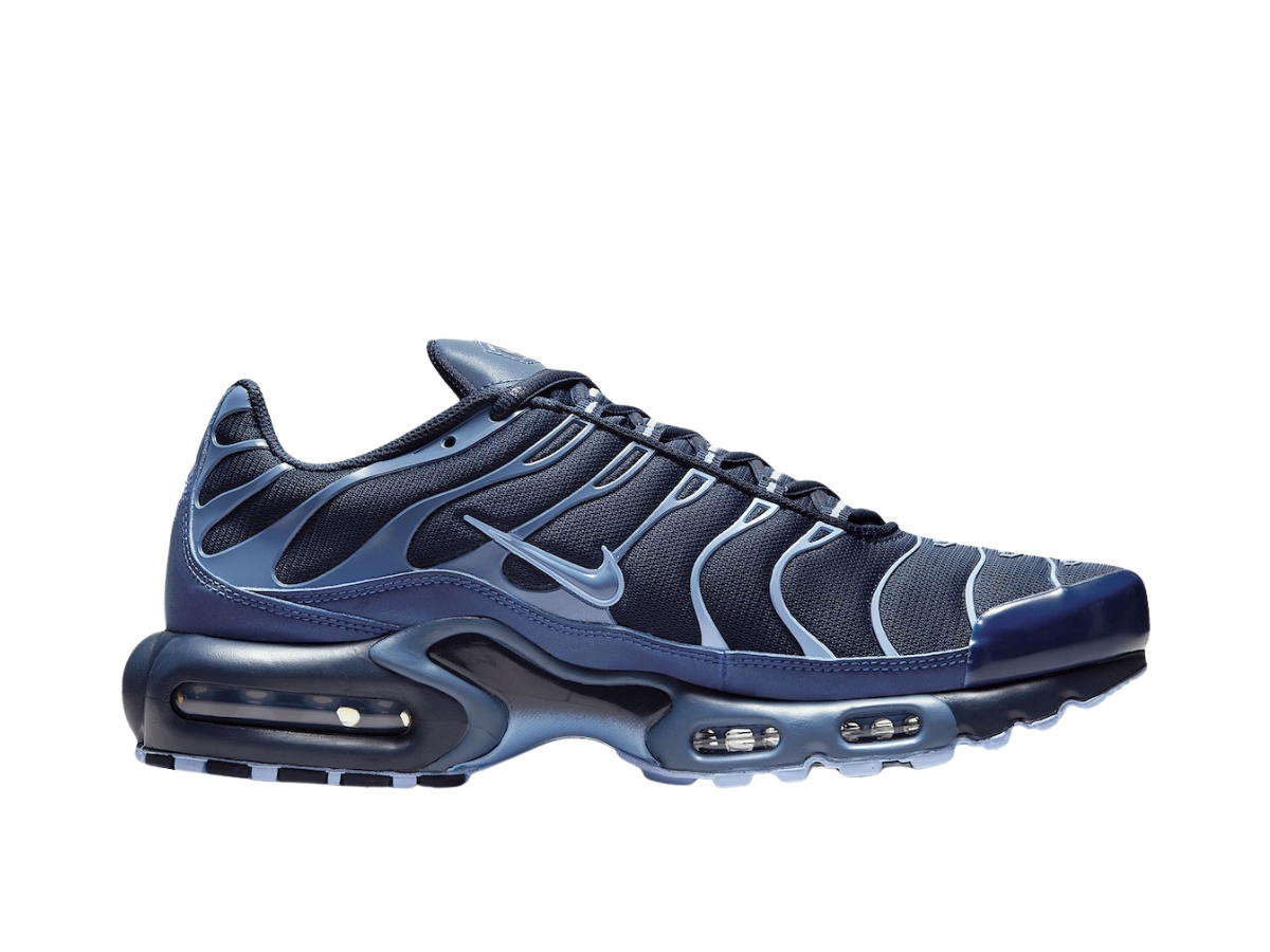 Nike Nike Air Max Plus Obsidian Aluminum Diffused Blue