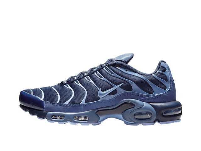 Nike Nike Air Max Plus Obsidian Aluminum Diffused Blue - view 2