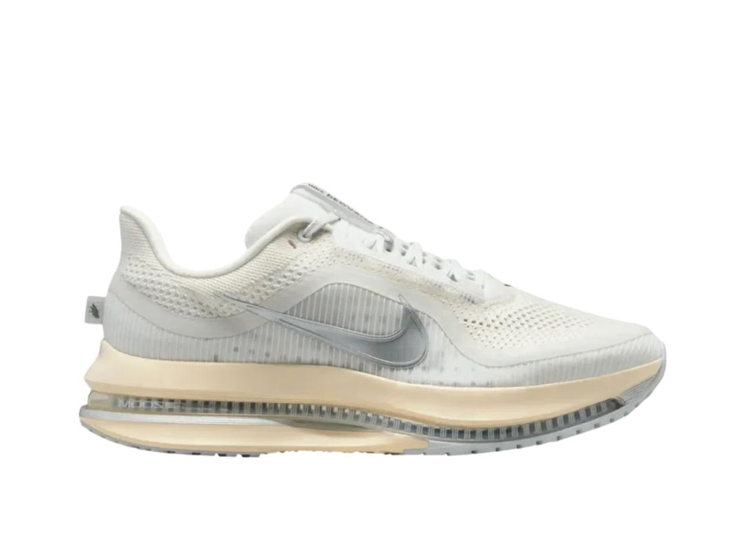Nike Nike Pegasus Premium Metallic