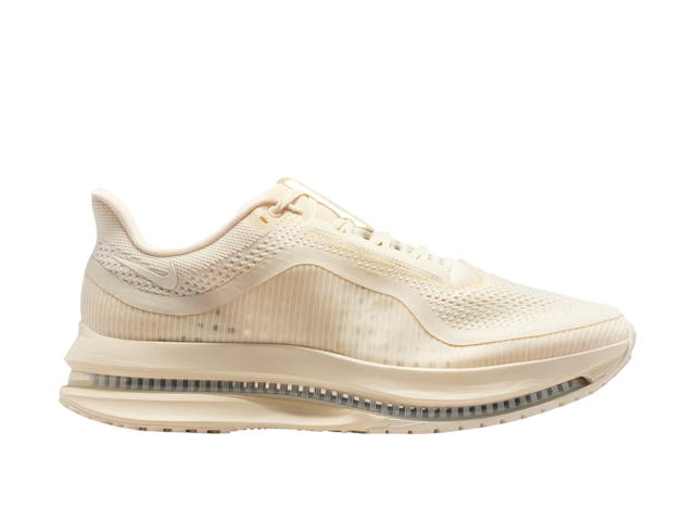 Nike Nike Pegasus Premium Natural - view 1