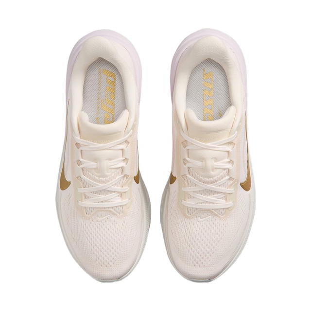 Nike Nike Pegasus 42 - Chalk/Fir Ring/Drift White Lilac/Metal Gold - view 3