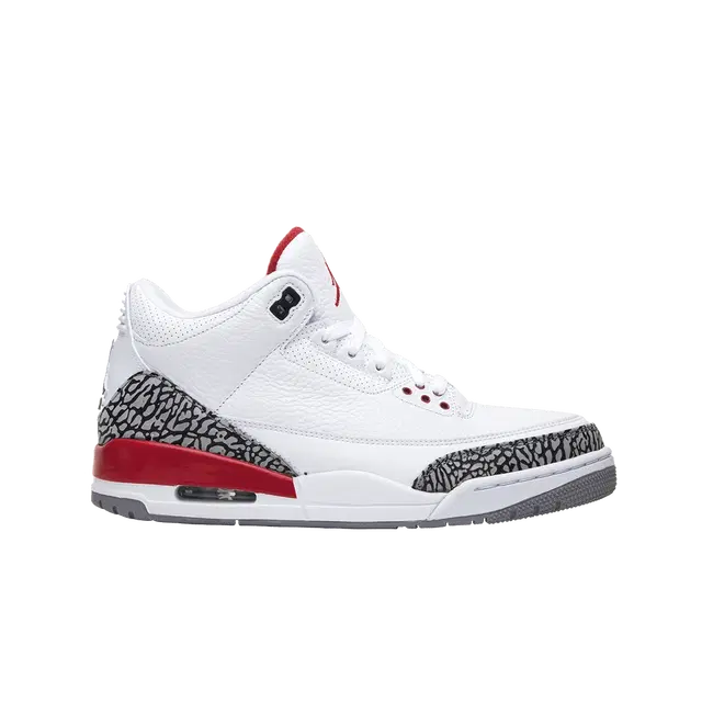 Jordan Jordan 3 Retro Hall of Fame (Sneaker Politics Special Release) - view 2